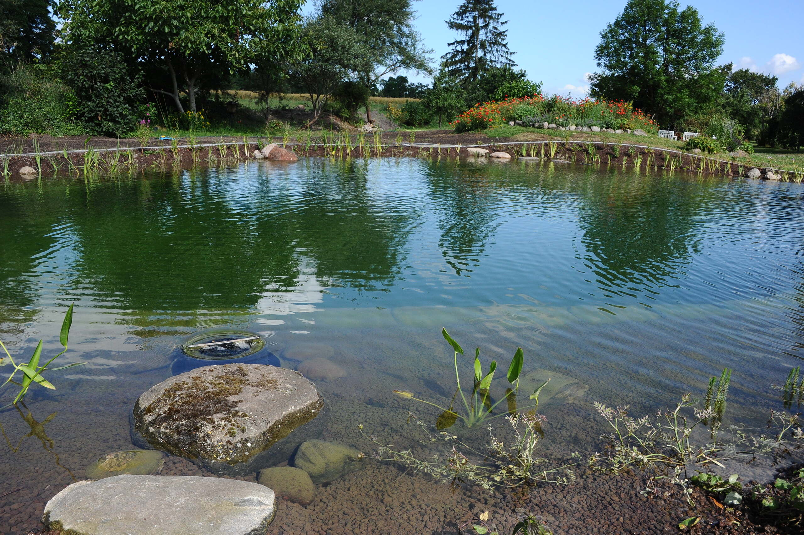 Schwimmteichbau